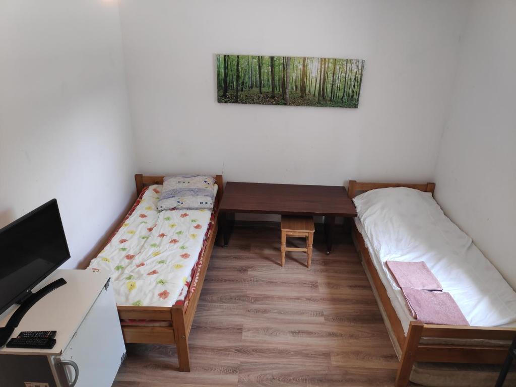 Skruzdėlynas room 1