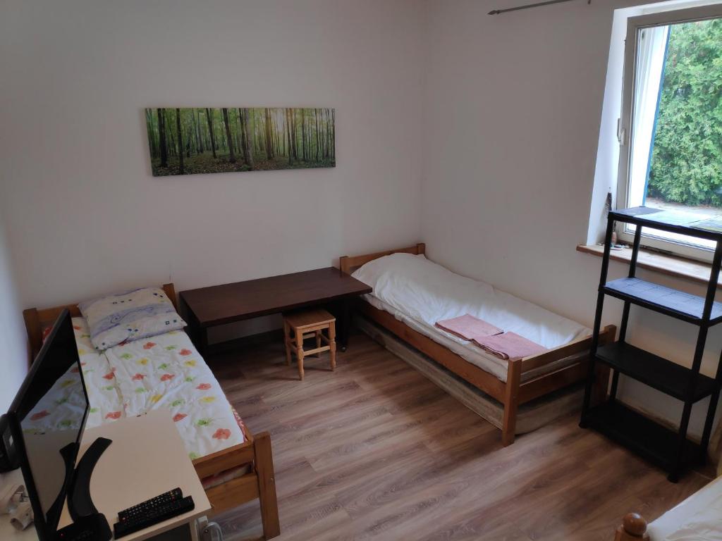 Skruzdėlynas room 2