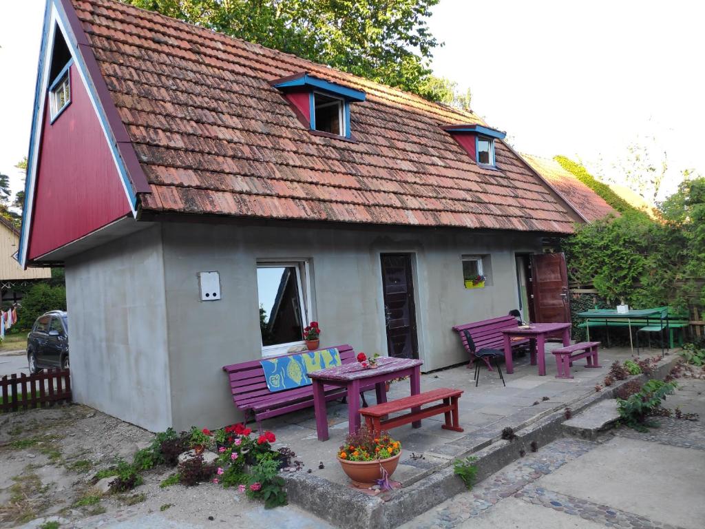 Skruzdėlynas room 5