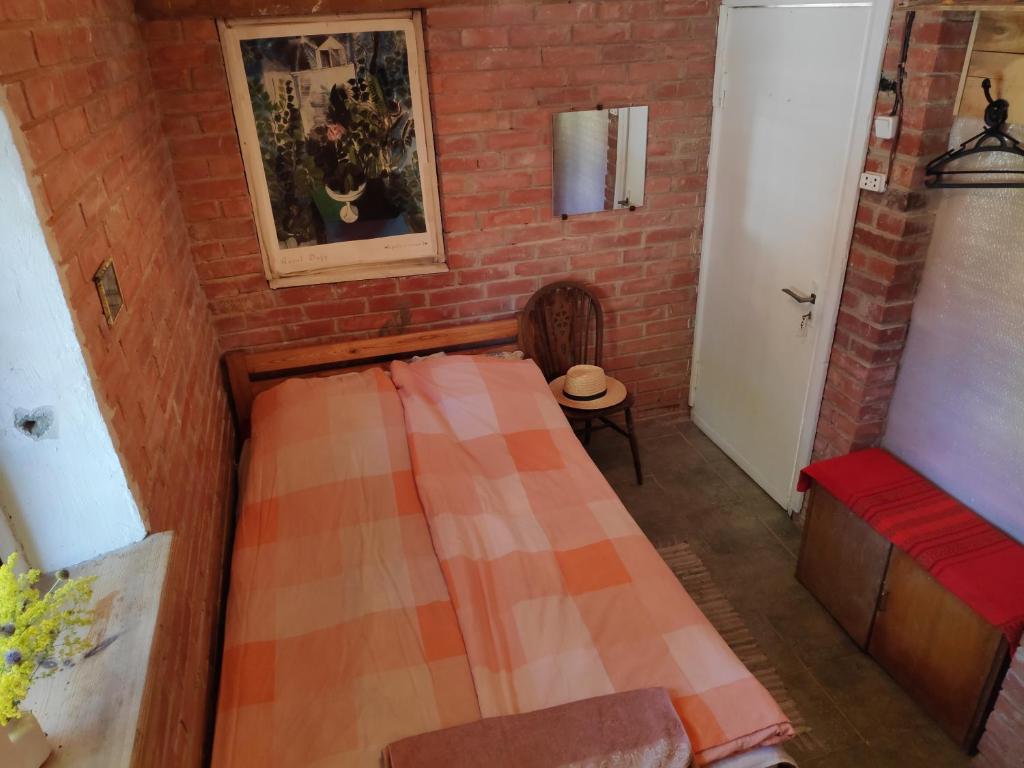 Skruzdėlynas room 6